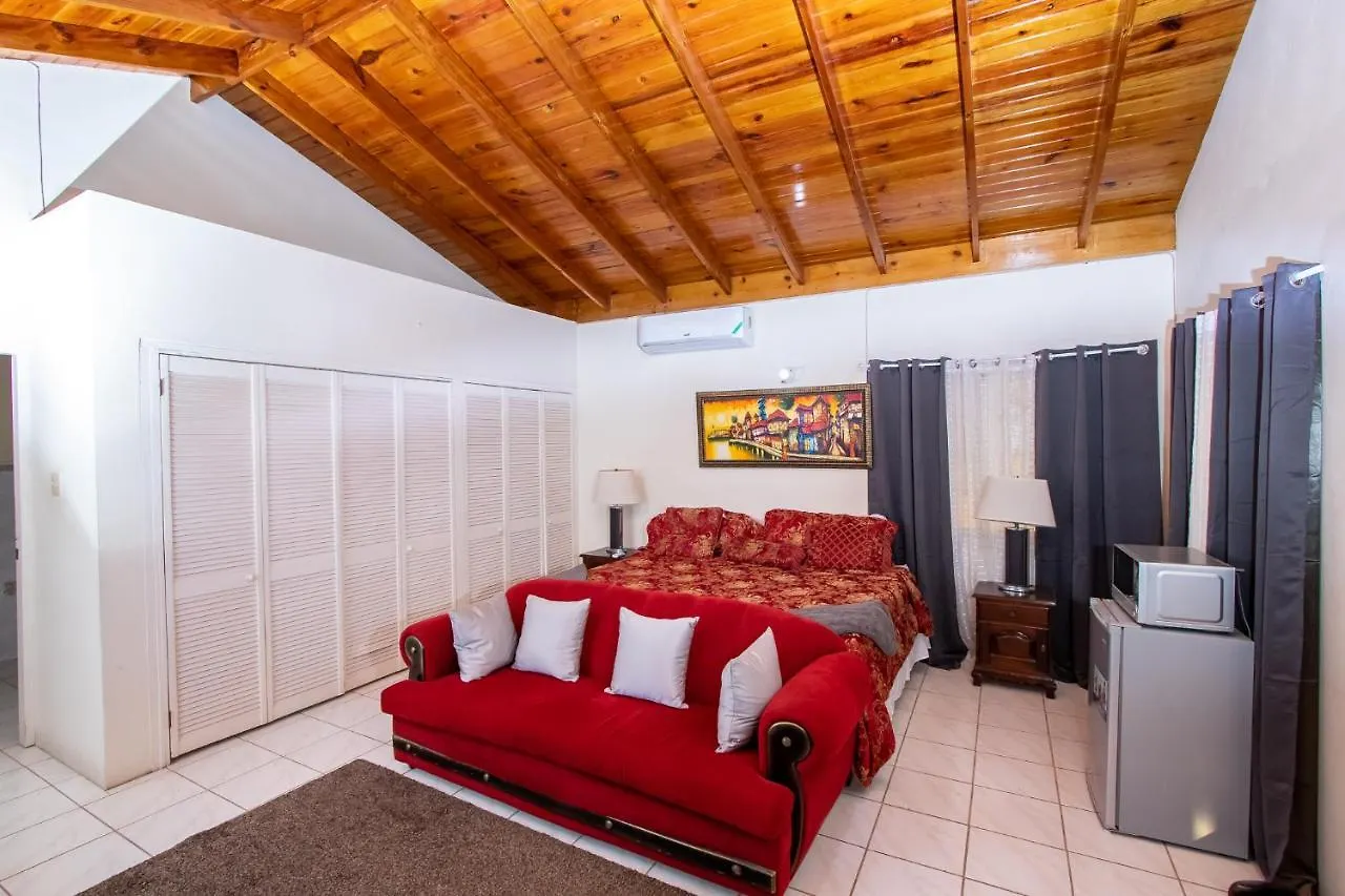 876 Ja Oasis & Homestay - By Kingston Airport Jamaïque