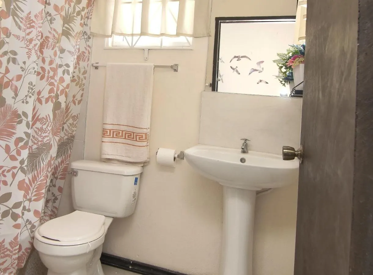 876 Ja Oasis & Homestay - By Kingston Airport 0*,